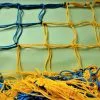 жовто-синя сітка для воріт