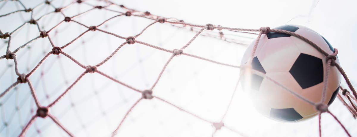 Tarida nets contact Tarida nets contact